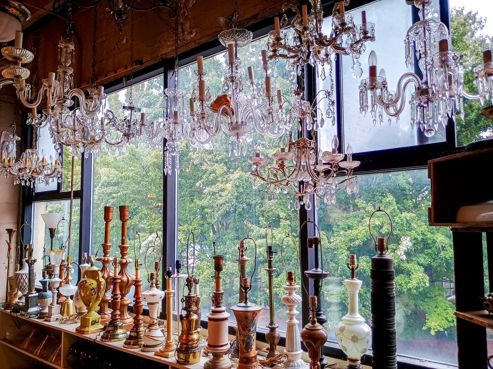 A shelf of table lamps, all from different eras and mostly without shades, sitting in front of a large window. Through the window you can see several trees, and in front of the window above the lamps, there are many hanging crystal chandeliers.