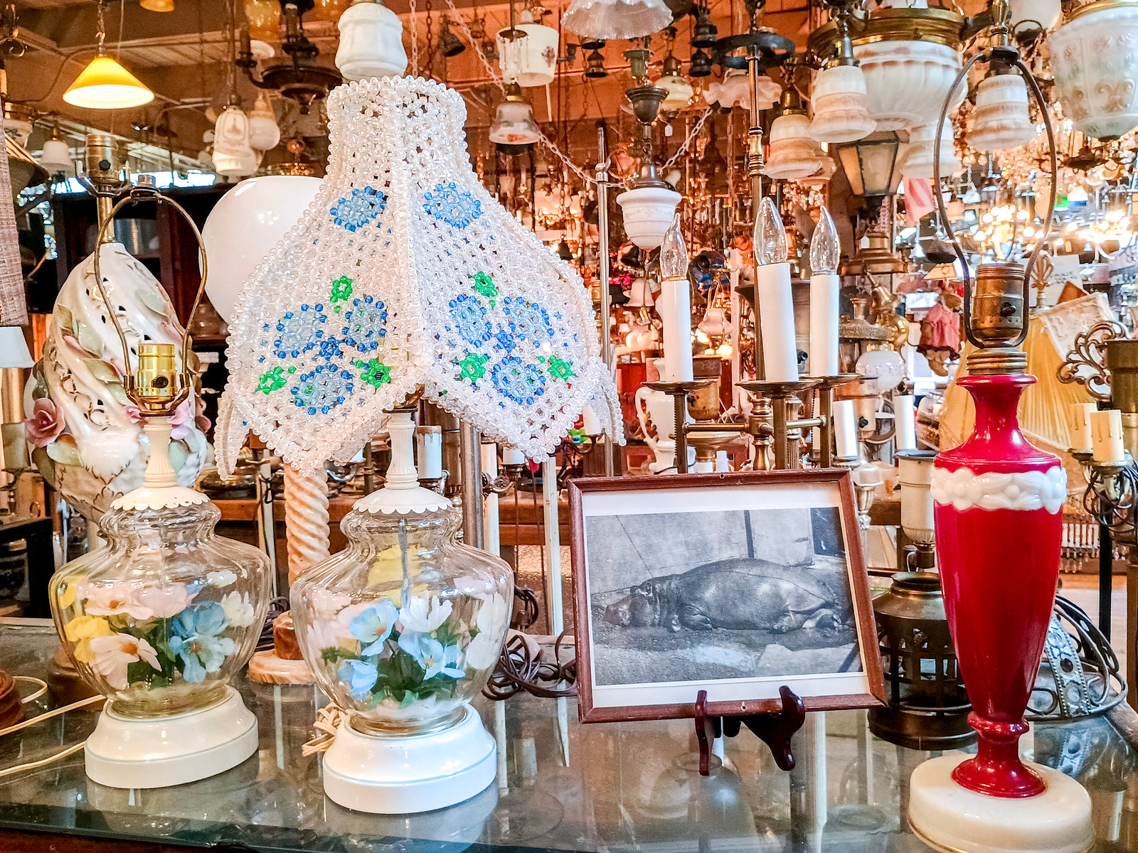 A red table lamp with no shade, alongside two table lamps with clear bases containing silk flowers. One of the flower lamps also has a beaded floral shade. The background is cluttered with more lamps and chandeliers, and there is also a framed photo of a hippo between the lamps in the foreground.