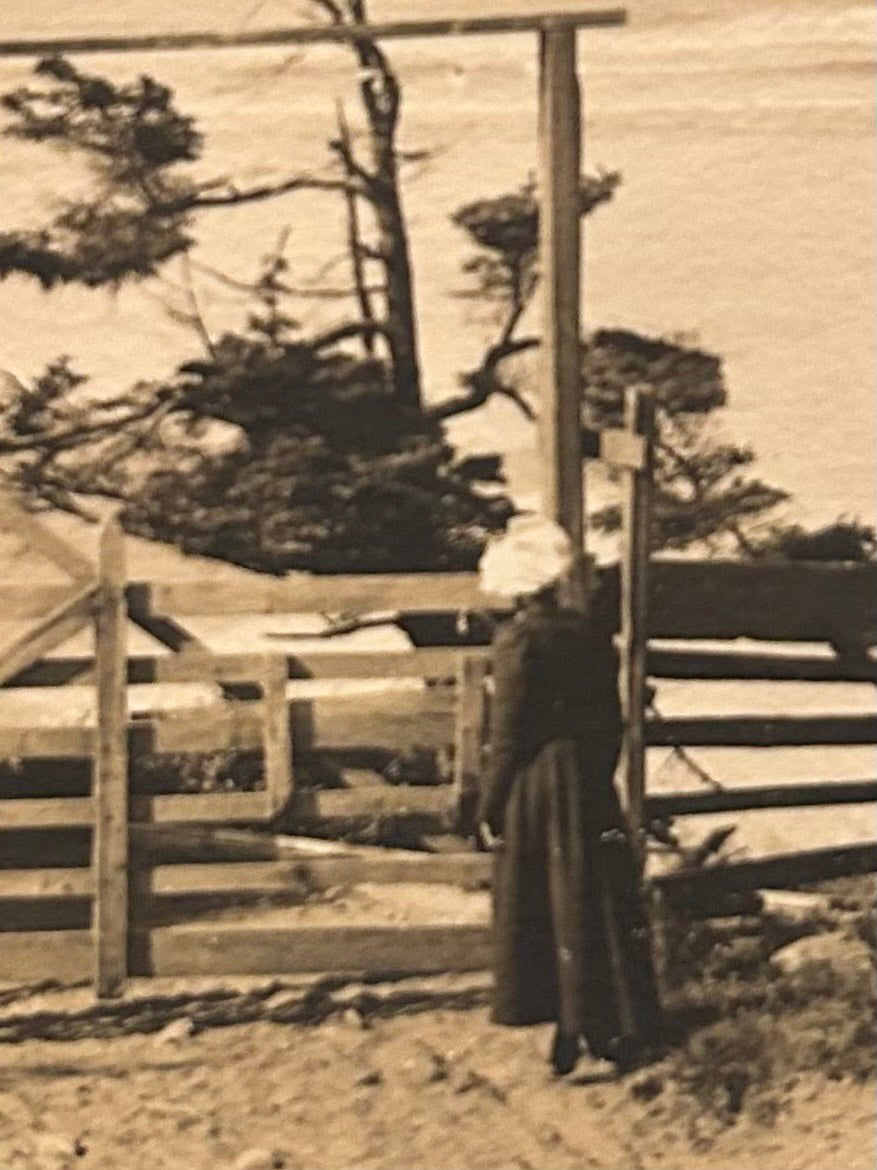 Custom listing for Diane