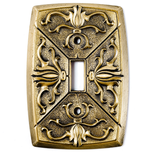 The front of just the switch plate