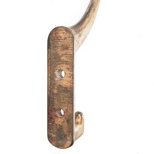 The back of  brass-plated wall hook, which is a tall rounded rectangle and has two screw holes