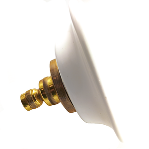 A view of the side of the showerhead, showing the fairly shallow depth of the porcelain surround