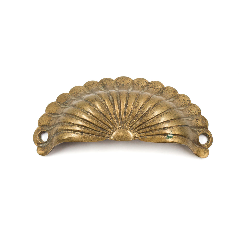 this is an antique bronze bin pull with a shell pattern